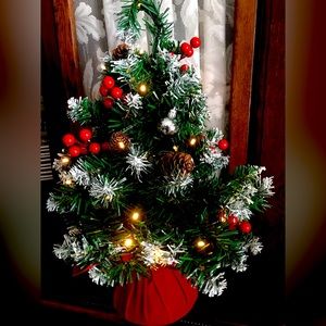 Mini Christmas tree with lights